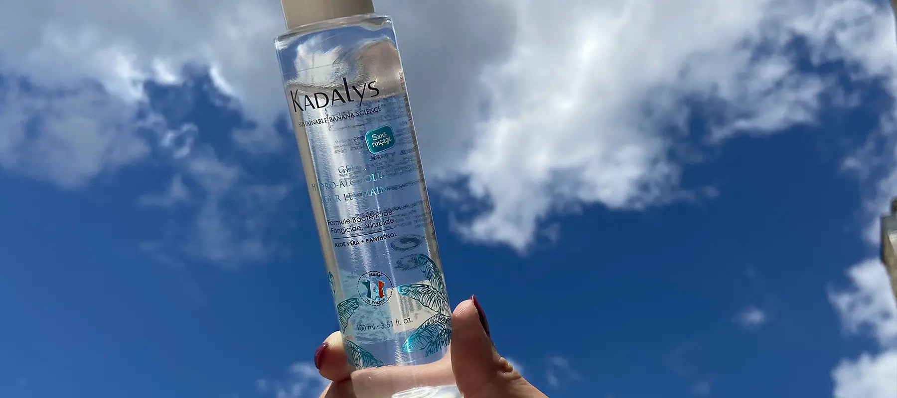 Gel Hydroalcoolique